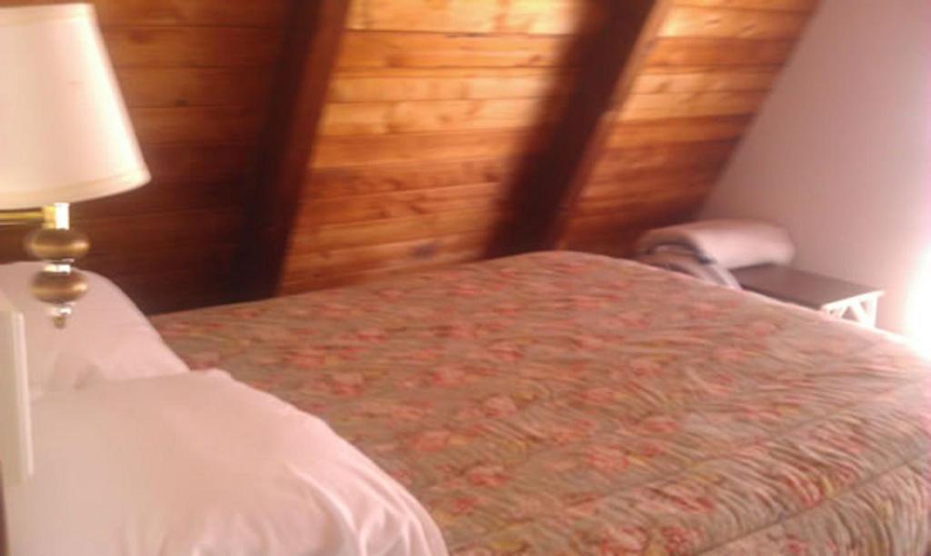 Oliver Lodge Meredith Camera foto